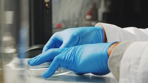 A laboratory assistant conducts experiments with insects. Close-up of hands and Stock Footage 260897115