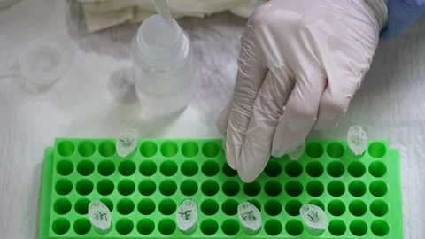 A laboratory assistant does a virus test Stock Footage 157358794