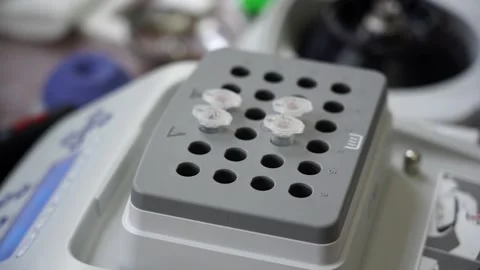 A laboratory assistant does a virus test Video stock 157358957