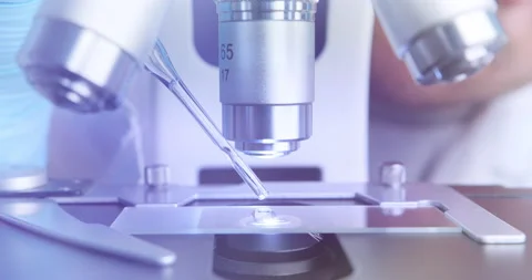 Laboratory assistant drips the solution for further examination under the 스톡 동영상 154325118