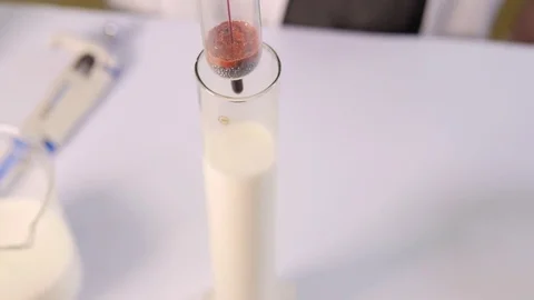 Laboratory assistant examines dairy products, thermometer Stock Footage 75225441
