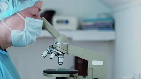 The laboratory assistant examines samples under a microscope. The assistant brin Video stock 172143888