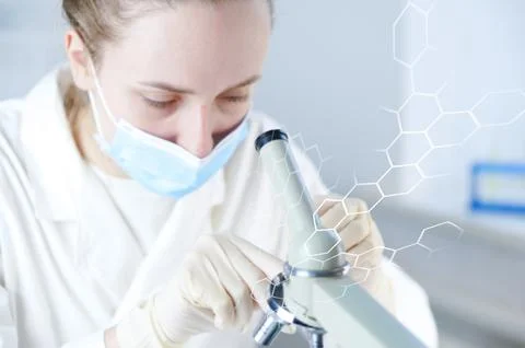 The laboratory assistant examines the samples under a microscope. Stock Photos