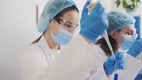 Laboratory assistant examines in vitro Stock Footage 230449386