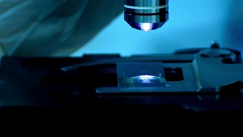 A laboratory assistant investigates protein structures under a microscope. Stock Footage 336583252