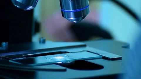 A laboratory assistant investigates protein structures under a microscope. Stock Footage 336583285