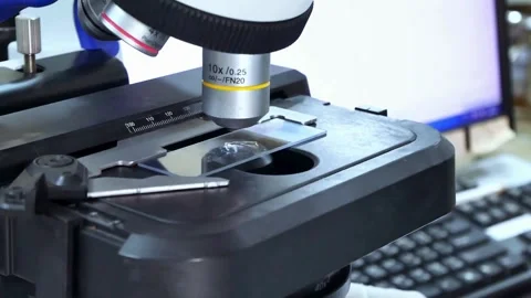A laboratory assistant investigates protein structures under a microscope. Stock Footage 336583326