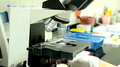 A laboratory assistant investigates protein structures under a microscope. Stock Footage 336583342