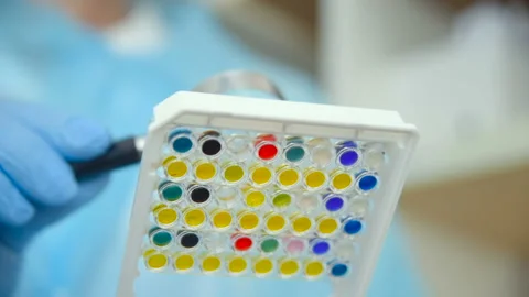 A laboratory assistant or a scientist examines through a magnifying glass Stock-Footage 101425633