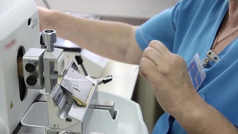 The laboratory assistant performs research in the pathological anatomy Stock Footage 94763946