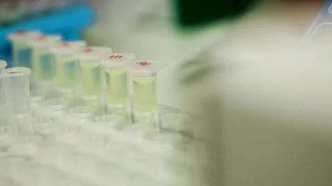 Laboratory Assistant Prepares Test Tubes for Experiments Stock Footage 225513502