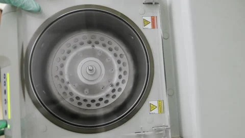 A laboratory assistant puts Eppindorf into a laboratory centrifuge. Stock Footage 294561328
