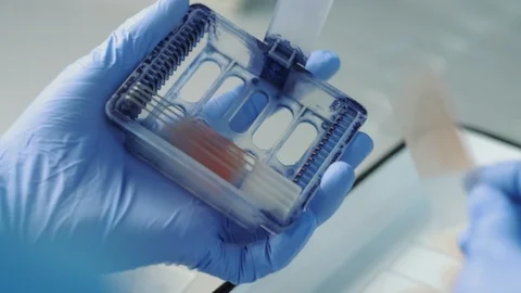 Laboratory Assistant Puts The Glass Materials Into Test Device. Stock Footage 120199130