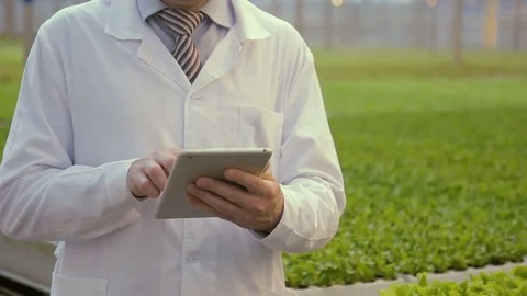 Laboratory assistant stands with tablet in hands in premise of agro-industrial Stock Footage 77516442