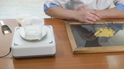 Laboratory assistant testing quality of corn seeds Stock Footage 101748967