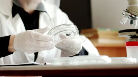 A laboratory assistant in a white coat and with a protective screen on her face Stock Footage 241666346