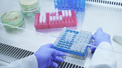 Laboratory assistant worker working in the modern laboratory. Scientist put tray Stock Footage 161886752