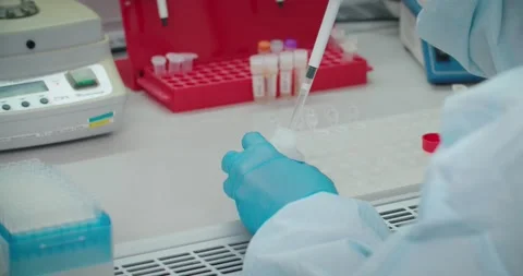 Laboratory assistant is working with DNA samples Stock Footage 146335224