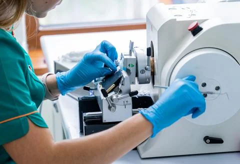 Laboratory assistant works on a rotary microtome section and making microscope Stock Photos