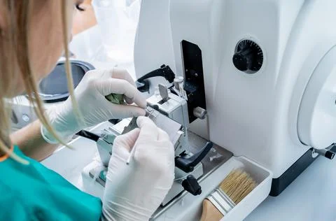 Laboratory assistant works on a rotary microtome section and making microscope Stock Photos