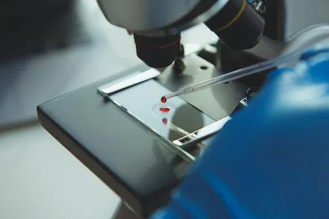Laboratory assistent making blood test with microscope Foto stock