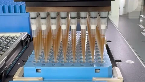 Laboratory automated liquid handling system, robotic arm with multiple pipette Stock Footage 278359770