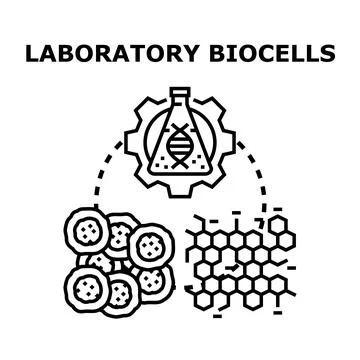 Laboratory biocells developing genetic and biological research Stock Illustration