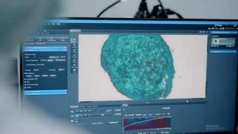 Laboratory biological cell sample research Video stock 274282862