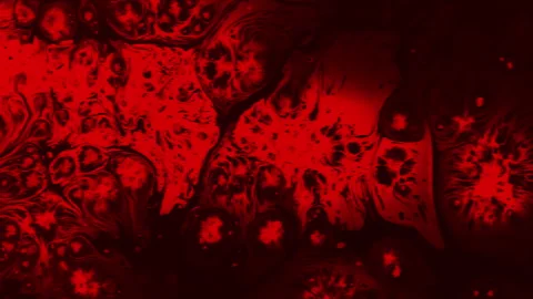 Laboratory Blood Test 4K 422 Stock Footage 338282753