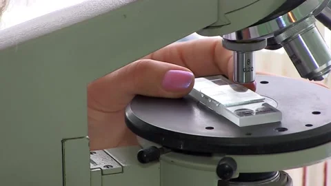 Laboratory. Blood test Stock-Footage 114008822
