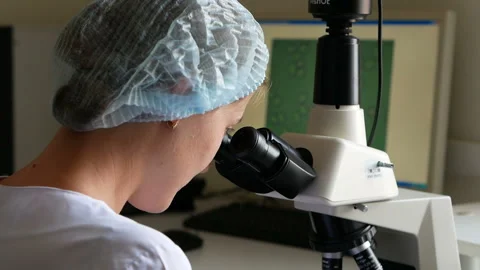 Laboratory checks the quality of the beer Video stock 118204579