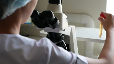 Laboratory checks the quality of the beer Stock Footage 118205327