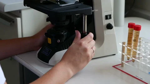 Laboratory checks the quality of the beer Video stock 118205997