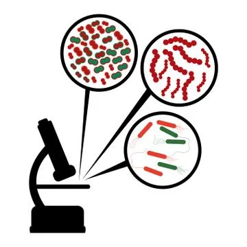 Laboratory design over white background vector illustration 스톡 일러스트