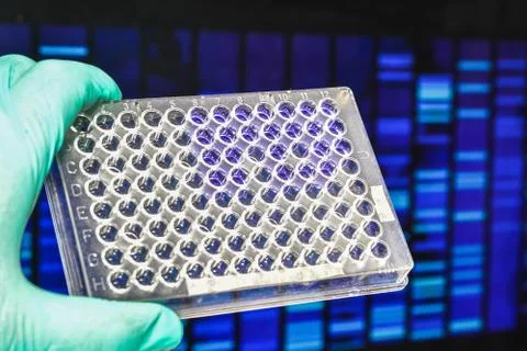 Laboratory DNA testing. Stock Photos