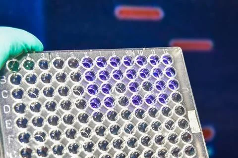 Laboratory DNA testing. Stock Photos