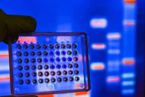 Laboratory DNA testing. Stock Photos