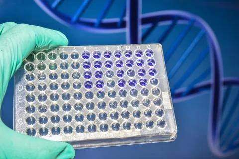 Laboratory DNA testing. Stock Photos