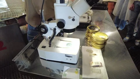 In a laboratory environment, the processes of microscopy and the analysis of var Video stock 347250353