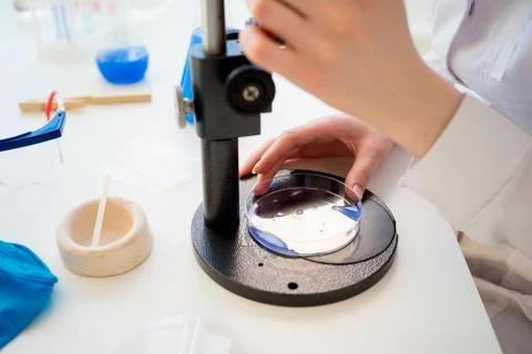 Laboratory equipment closeup Stock Photos
