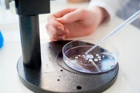 Laboratory equipment closeup Stock Photos