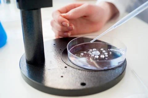 Laboratory equipment closeup Stock Photos