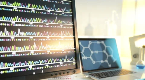 Laboratory Experiment 스톡 동영상 56427491