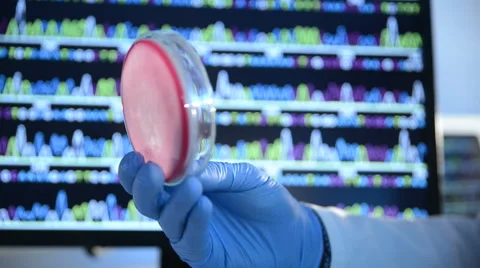 Laboratory experiment Stock Footage 56428565