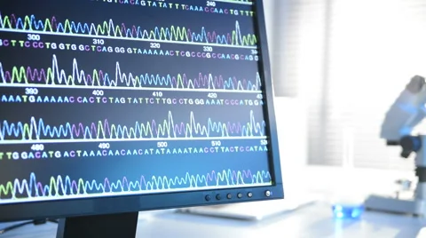 Laboratory experiment 스톡 동영상 56428660