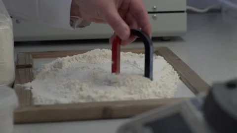 Laboratory expert checking the quality of flour close up Video stock 130356749