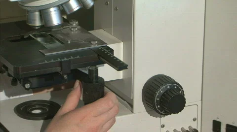 Laboratory Video stock 772458