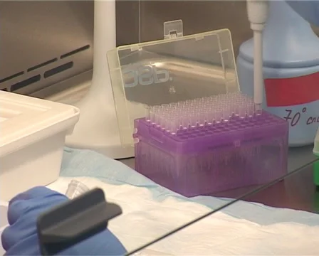 Laboratory Stockbeeldmateriaal 1037730