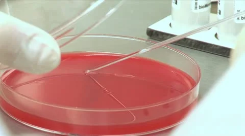 Laboratory Stock Footage 12543480