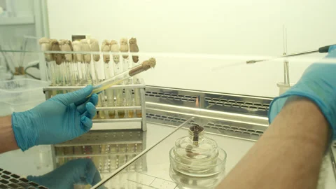 Laboratory Stock Footage 151892103